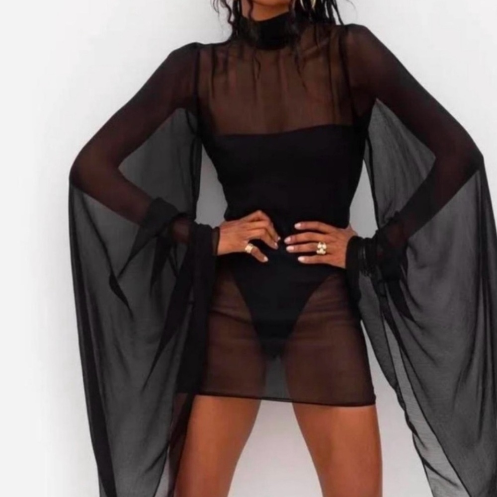 Rat & Boa Black Sheer Mini Dress